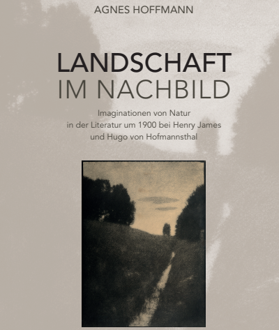 Buchcover Landschaft im Nachbild